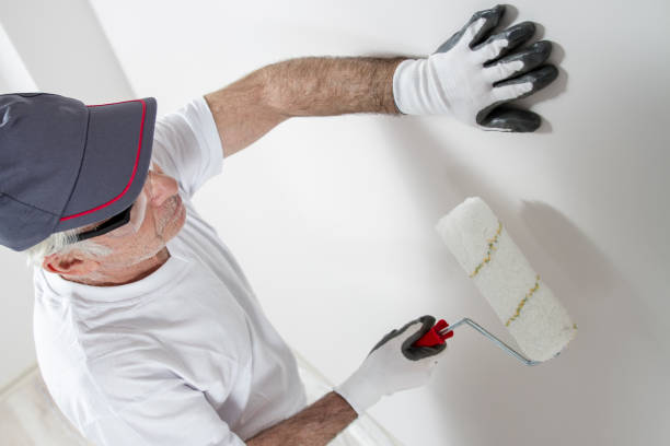 Weiser, ID Mold Removal Company