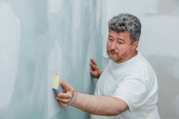 Best Mold Remediation for Healthcare Facilities  in Weiser, ID