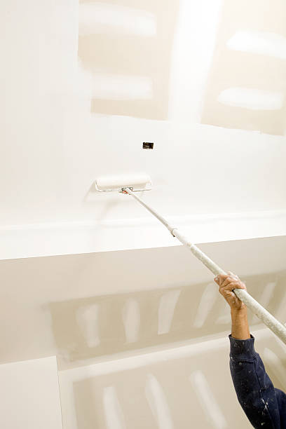 Best Dehumidification Services  in Weiser, ID