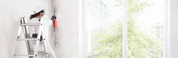 Mold Removal for HVAC Installations in Weiser, ID