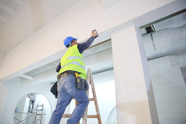 Best Commercial Mold Inspection  in Weiser, ID